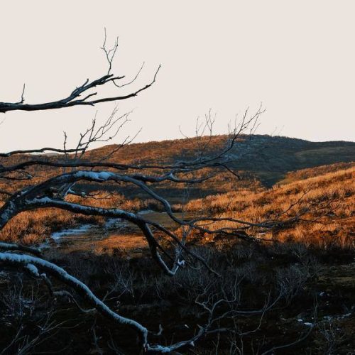 High Country Morning