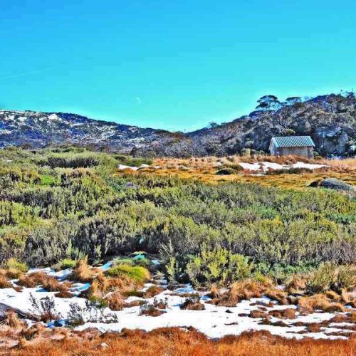 High Country in Summer