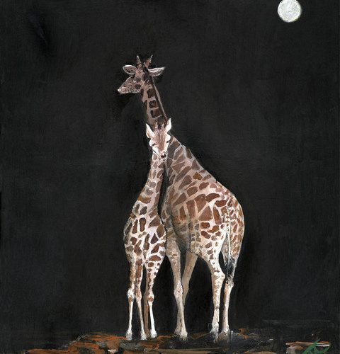 Giraffe Love
